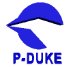 p-logo1